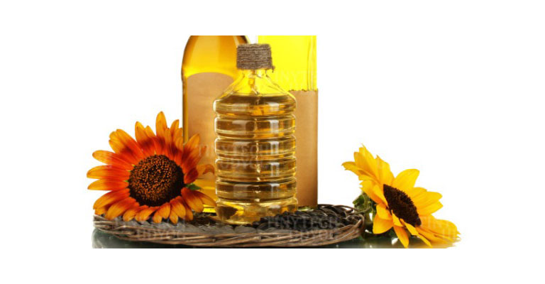 Tinytech - Sunflower Oil Press Machine